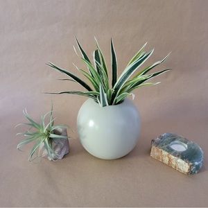 ⭐️ FREE with 30$ or More Bundle ~  Round sage green vase